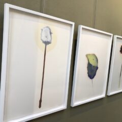 Een expo voor de eerste lentedagen: ‘de Adem van de lente’ van Saskia Weyts