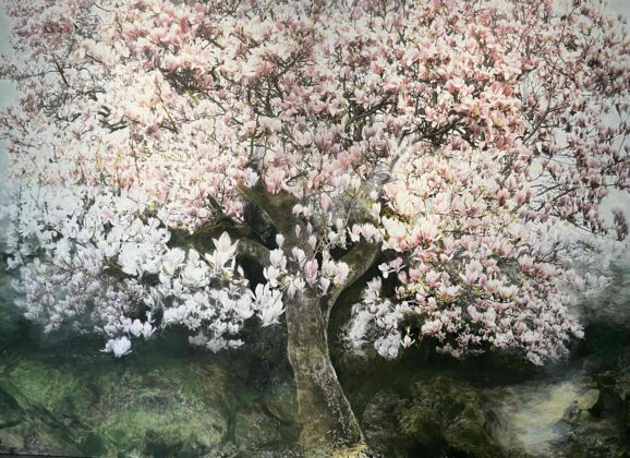 Marie Cloquet en de metafysica van de magnolia