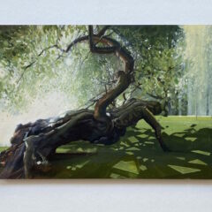 Luc Verbist viert 70ste verjaardag in Kunstforum De Koolputten