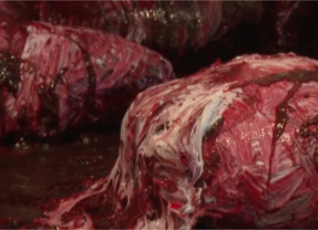 Het opmerkelijke pleidooi van Anish Kapoor voor radicalisme in de kunst